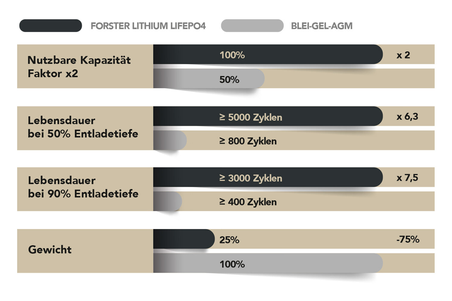 FORSTER 12,8V Lithium 100Ah LiFePO4 Premium Batterie | 200A-BMS-2.0 | 1280Wh | IP67